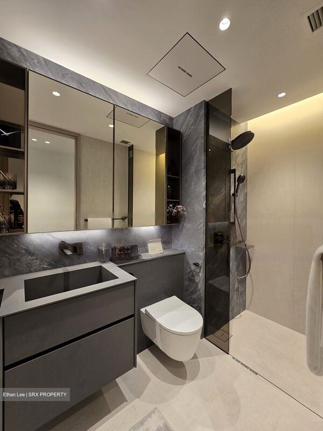 Havelock Road (D1), Apartment #462701041